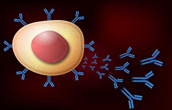 An Overview of Polyclonal Antibodies and their Applications