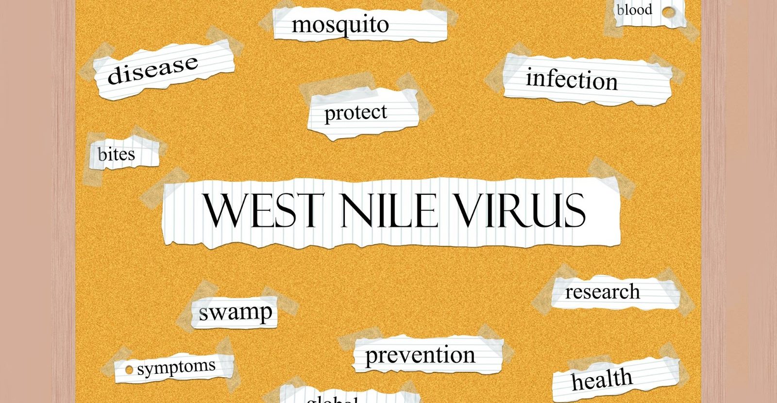 West Nile Virus Symptoms Diagnosis and Treatments